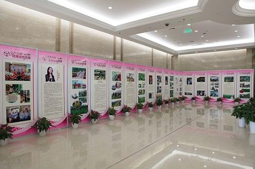 云阳县妇女联合会承办的"三大行动•云阳优秀女性风采"主题展览